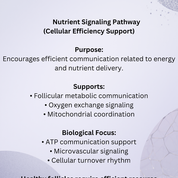 AR Quad Peptide Complex™ Density & Hair Growth Serum -1oz